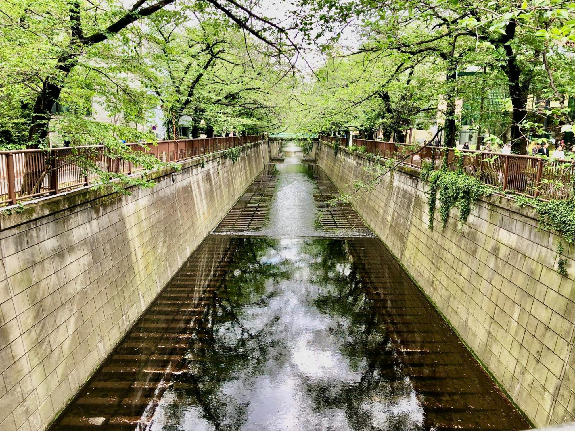 Apartemen Daikanyama 401 - The Animate Sanctuary Tokyo